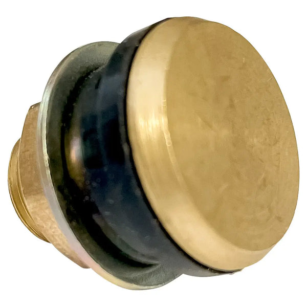 4 Pack $6 A PIECE 17-492 XTRA SEAL TIRE VALVE CAPS 100 PACK 4 Pack $6 A PIECE 17-492 XTRA SEAL TIRE VALVE CAPS 100 PACK