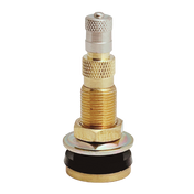 AA TR-618A Air, Liquid Clamp-in Valve Fit .625" Rim Hole