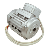 BendPak OEM 5327092 DST2420 Motor, 110/220V 0.37kW