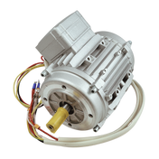 BendPak OEM 5327092 DST2420 Motor, 110/220V 0.37kW