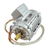 BendPak OEM 5327092 DST2420 Motor, 110/220V 0.37kW