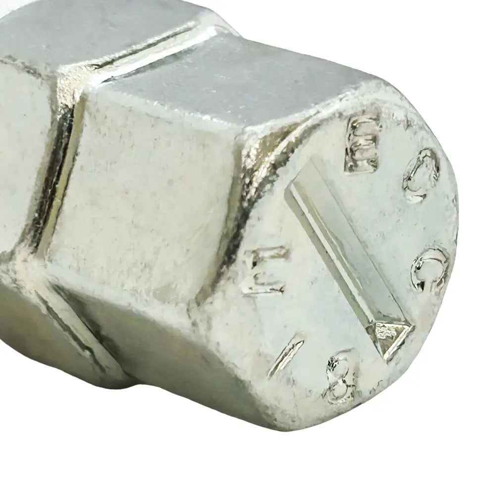 10 point best sale spline socket