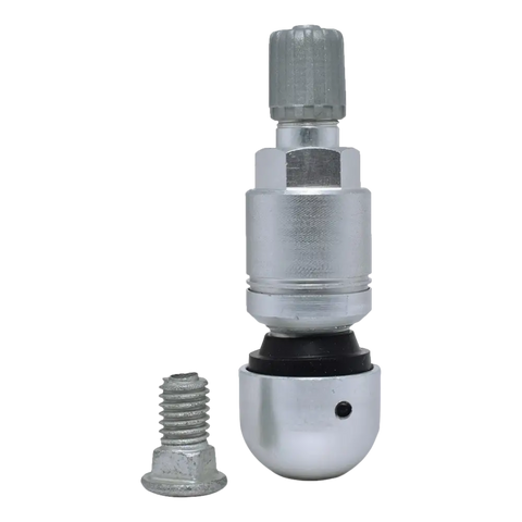 Metal tire valve stem with a removable core and separate mounting screw.