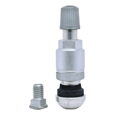 Tire valve stem with a metal cap and separate mounting bolt.