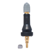 Tire valve stem with a gray cap and brass base.