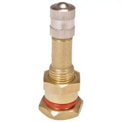 Tire Valves - AA Brass Clamp-in Truck Valves (Straight)