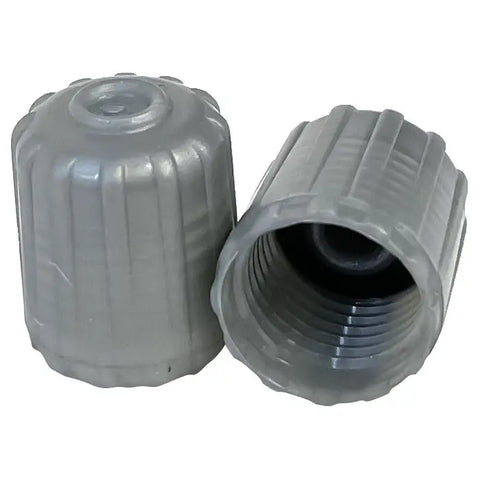 AA Silver TPMS Valve Caps - Tight Seal for Shops – All Tire Supply AA Silver TPMS Valve Caps - Tight Seal for Shops – All Tire Supply
