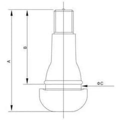 AA TR-415 Snap-In Valve (0.625